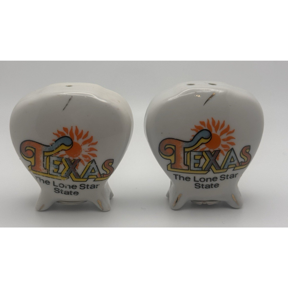 Texas Salt and Pepper Shakers The Lone Star State Souvenir Ceramic Rare Vintage